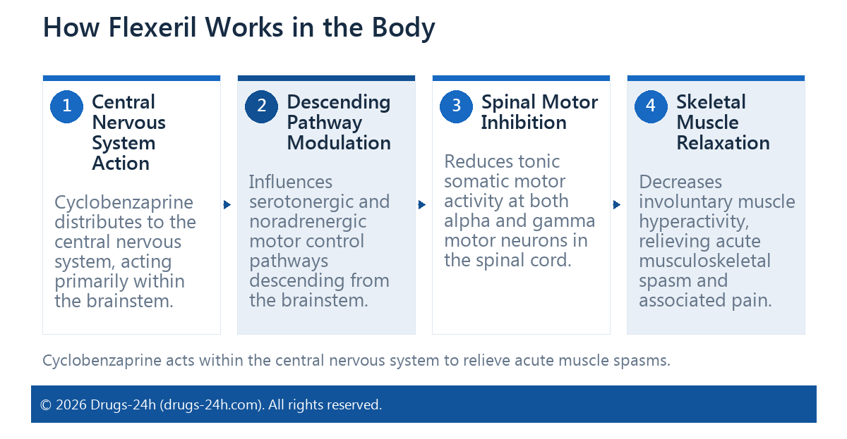 How Flexeril Works in the Body