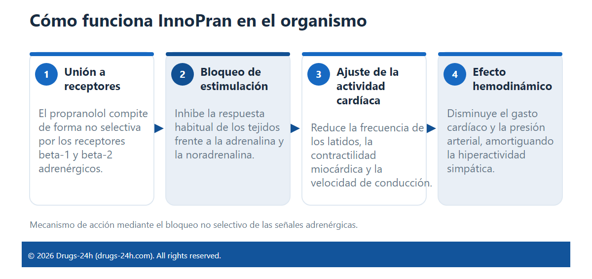 Cómo funciona InnoPran en el organismo