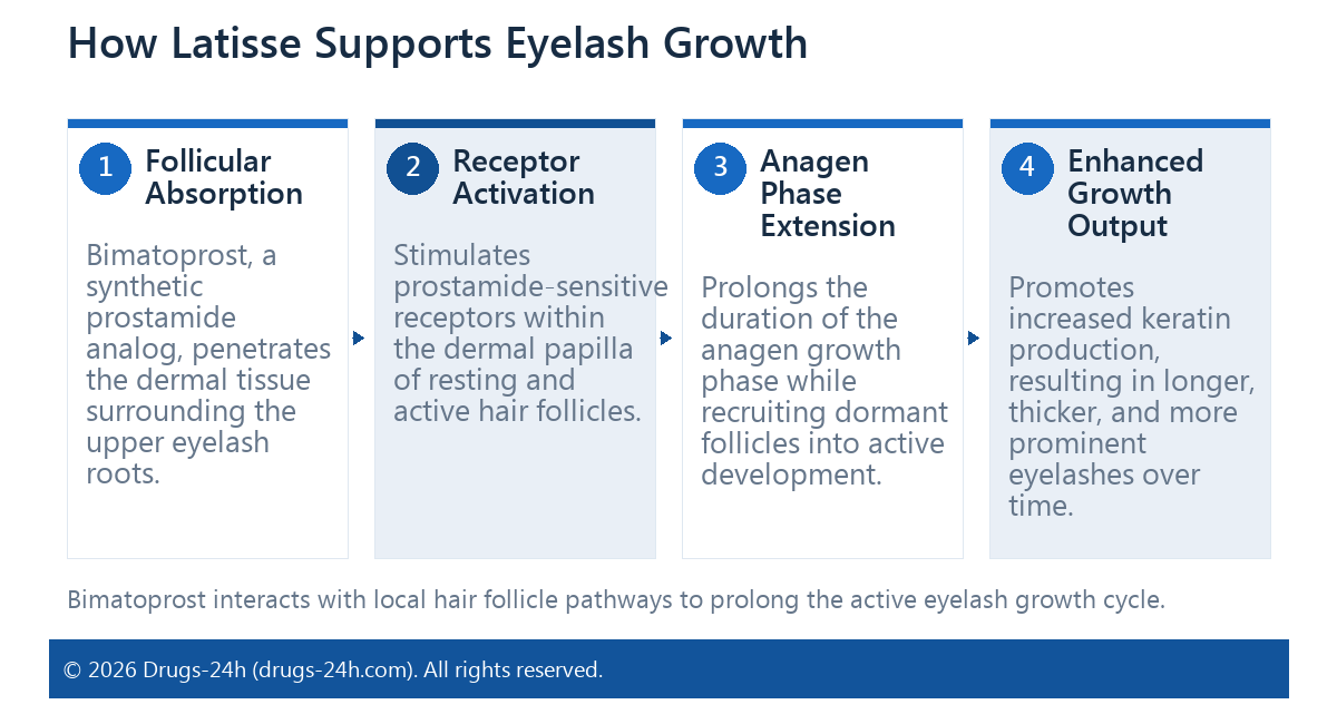 How Latisse Supports Eyelash Growth