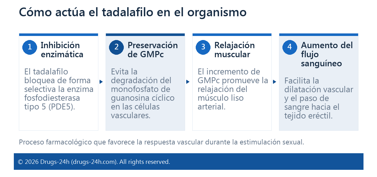 Cómo actúa el tadalafilo en el organismo