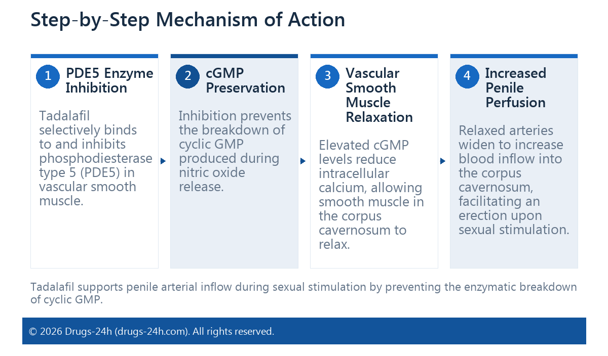 Step-by-Step Mechanism of Action