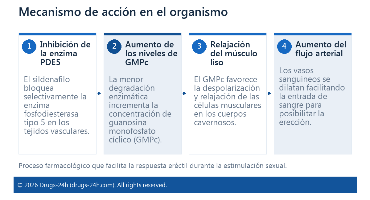 Mecanismo de acción en el organismo